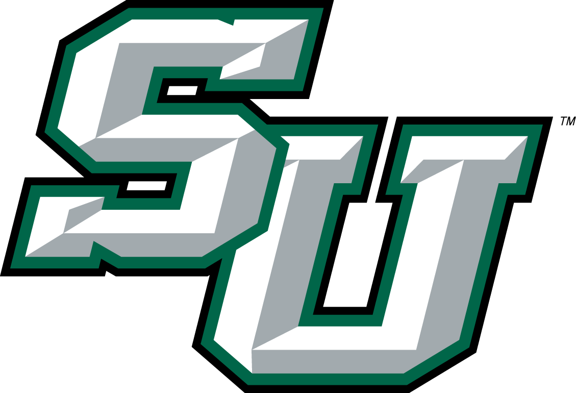 Stetson Hatters 2008-2017 Alternate Logo diy iron on heat transfer